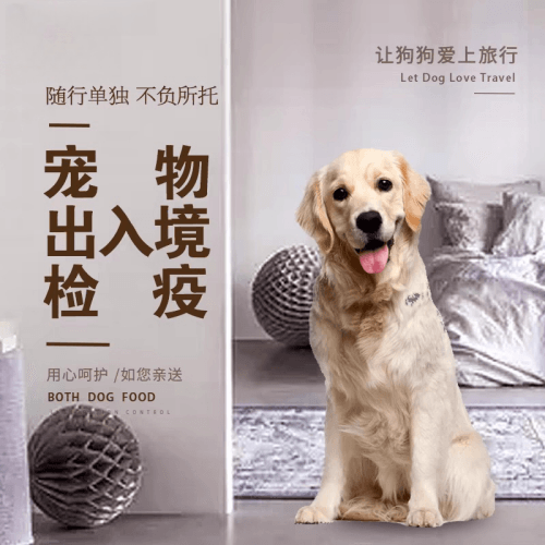 朝阳市宠物托运到哥伦比亚猫狗宠物入境规定和