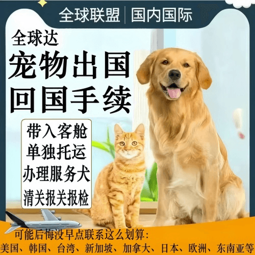 朝阳市宠物托运到柬埔寨宠物入境规定和要求