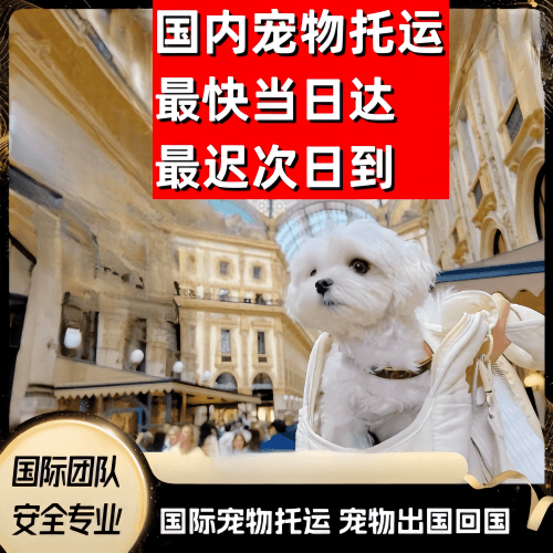 朝阳市到澳大利亚（澳洲）宠物入境规定和要求